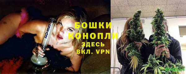 apvp Богородицк
