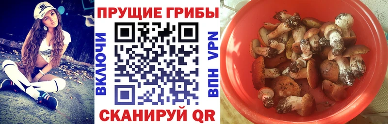 Галлюциногенные грибы MAGIC MUSHROOMS  блэк спрут вход  Топки 