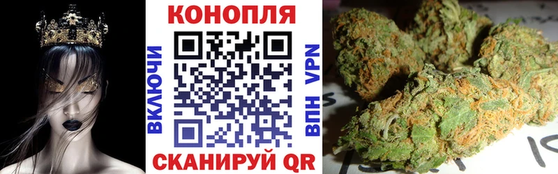 Каннабис сатива Топки